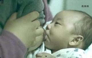 亚洲哺乳图片视频,自然画卷中的珍稀生灵 亚洲哺乳图片视频,自然画卷中的珍稀生灵